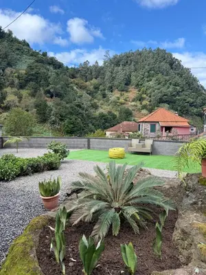 a house with a garden with a palm tree at Roots Guesthouse- B in São Vicente