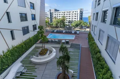 an apartment patio with a pool and palm trees at São Lucas apartamento com piscina e parking no Funchal in Funchal