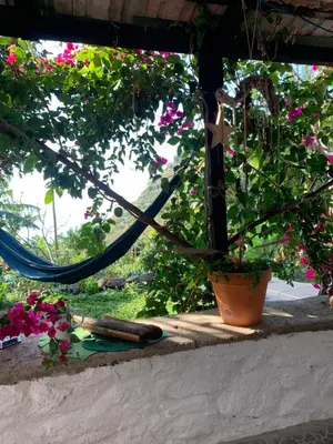a patio with a plant and a hammock and flowers at Pico Paraiso Madeira in Ponta do Sol