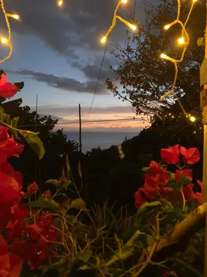 a view of the sunset from a garden with lights at Pico Paraiso Madeira in Ponta do Sol