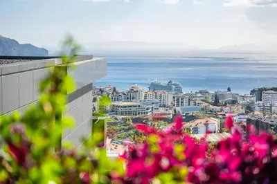 a view of a city with pink flowers in the foreground at City View Condo in Funchal