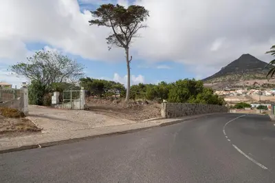 an empty street with a tree on the side of the road at Casa Areia Dourada by An Island Apart in Porto Santo