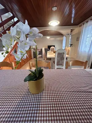 a plant in a pot sitting on a table at A Casa da Minha Mãe in Paul do Mar