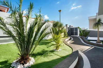 a courtyard with palm trees and a road at Pico Do Paraíso in Funchal