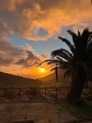 a group of tables and hay bales in a garden at Alojamento Casas da Serra in Porto Santo