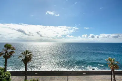 a view of the ocean with palm trees at Original Wave House in Jardim do Mar