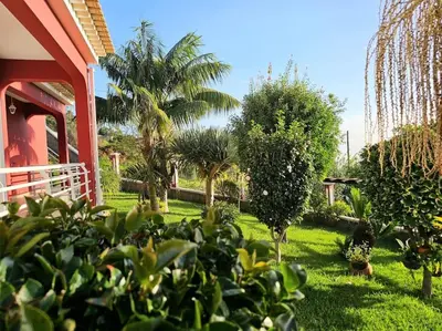 a garden with palm trees and a house at Villa River Ponta do Sol by Rentallido in Canhas