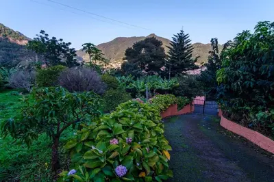 a garden with a bunch of plants and trees at GuestReady - A charming experience in Madeira in Machico