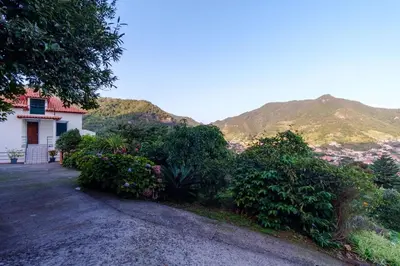a house with bushes and a mountain in the background at GuestReady - A charming experience in Madeira in Machico