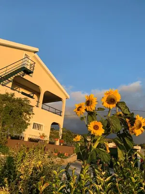 a bunch of sunflowers in front of a building at Casa do Prendinha B in Ponta do Pargo