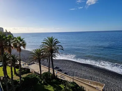 a beach with palm trees and the ocean at Sunset Vista 604 in Funchal