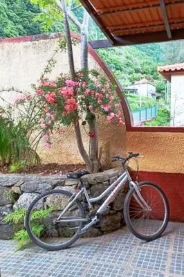 a bike parked next to a wall with flowers at Casa da Lagoa BB or HB options in Santana