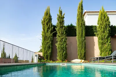 a swimming pool in front of a building with trees at Villa Eden Nature in Prazeres in Prazeres