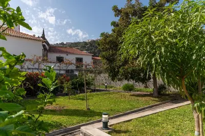 a garden with a house and a tree at Casa do Beiral by An Island Apart in Santa Cruz