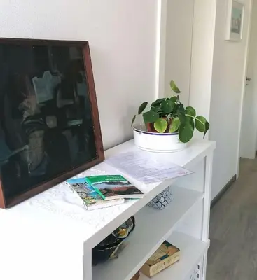 Gallery image of Blue Design Apartment in Machico