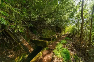 a wooden bench on a trail in the woods at Oxford apartment Alpine escape villa in Gaula