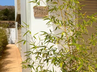a sign on the side of a building next to a bush at Casa Bamboo in Porto Santo