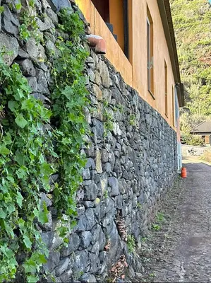 a stone wall with plants on it next to a building at Taverna in São Jorge