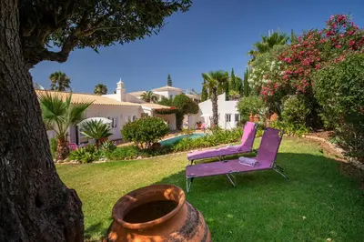 a purple chair sitting in a yard next to a tree at 804 Quinta Felicidade in Lagos