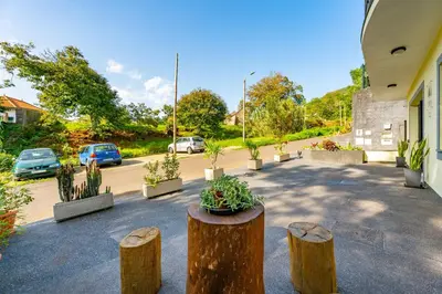a courtyard with potted plants and trees and a building at Santiago apartment Alpine escape villa in Gaula