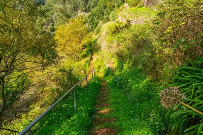 a dirt trail in the middle of a forest at Santiago apartment Alpine escape villa in Gaula