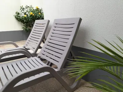 two white chairs sitting next to a plant at Hortasol B in Funchal