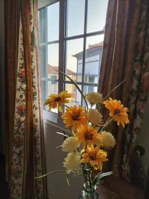 a vase filled with yellow and white flowers in a window at Hortasol B in Funchal