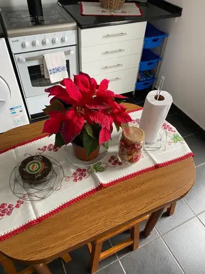a table with a vase with red flowers on it at La casita de campo in Ponta do Sol