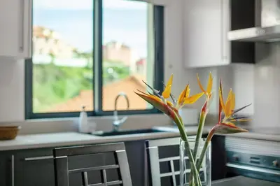 a kitchen with a vase with a plant on a table at Apartamento Eden in Machico