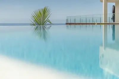 a palm tree sitting next to a swimming pool at Villa Althea by YMR in Calheta