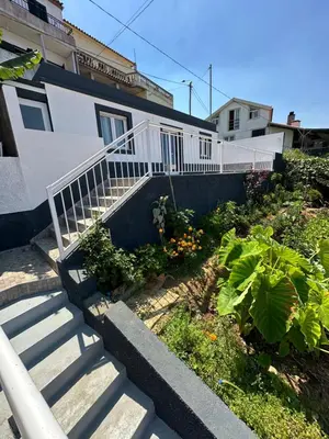 a staircase leading up to a house with plants at Little Blue Paradise in Ribeira Brava