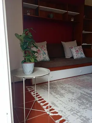 a couch with a potted plant on a table at Village Sun House - Porto Moniz in Porto Moniz