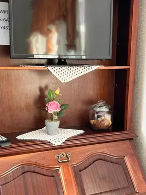 a potted plant in a cabinet with a tv at La terraza de Ponta do Sol -Suite 1 in Ponta do Sol