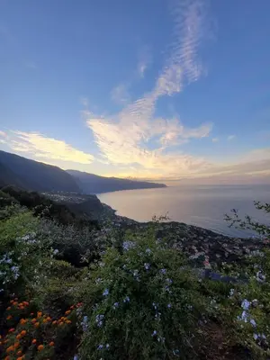 a view of the ocean from a hill with flowers at Faria's House 2 in Feiteiras