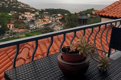a potted plant sitting on a table on a balcony at Silva House in Ribeira Brava