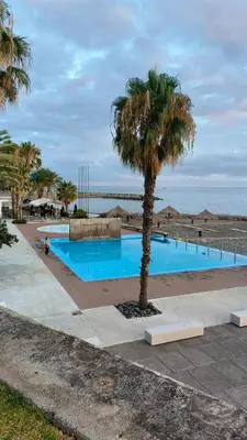 a palm tree in front of a swimming pool at Silva House in Ribeira Brava