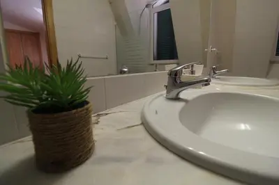 a bathroom with a sink and a plant on a counter at Aqua City by Farmer's Market in Funchal
