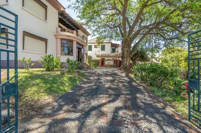 a driveway leading to a house with a tree at Francisco's in Funchal