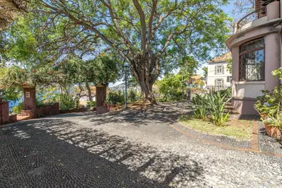 an empty driveway in front of a house with a tree at Francisco's in Funchal