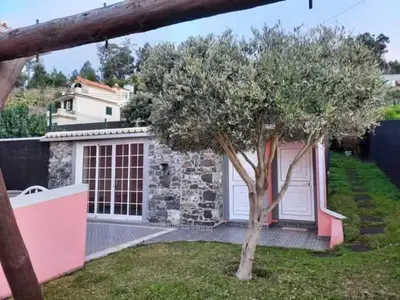 a tree in front of a house with a building at Casa Rosa in Ponta do Sol