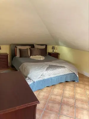 a bedroom with a large bed in a attic at Casa Rosa in Ponta do Sol