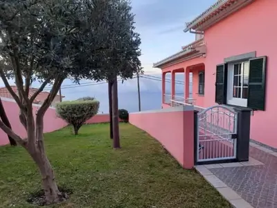 a pink house with a tree in front of it at Casa Rosa in Ponta do Sol