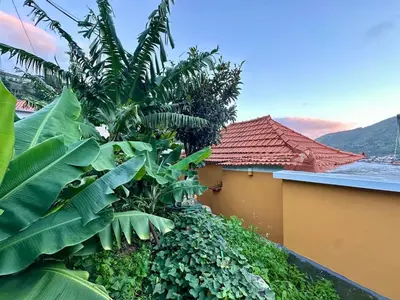 a view of a house with a bunch of plants at Casa do Perestrelo - Guest House in Machico