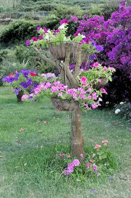 a planter filled with flowers in the grass at Quinta O Refúgio in São Vicente