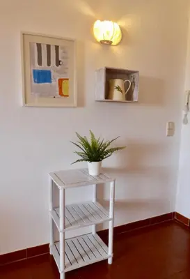 a plant on a white shelf in a room at Apartamento Branco Beliche in Sagres