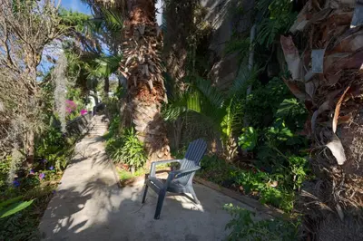 a chair sitting in front of a palm tree at A Porta das Neves in Funchal
