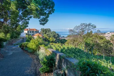 a house on a hill next to a road at Quinta das Malvas - Quinta de Santa Luzia in Funchal