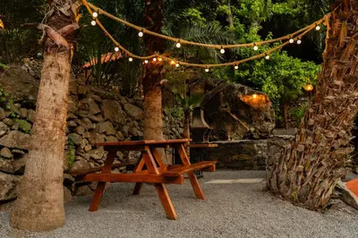 a wooden bench sitting next to a tree with lights at Casas da Terça - modern comfort in traditional houses set within 300sqm of private gardens to explore in Tábua