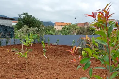 a garden with some plants in the dirt at Litlle Zen House in Santana