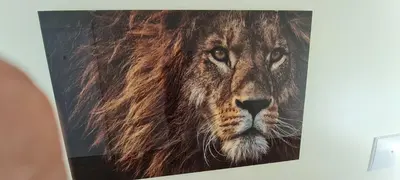 a painting of a lion on a wall at Casa Linda Baía in Porto da Cruz
